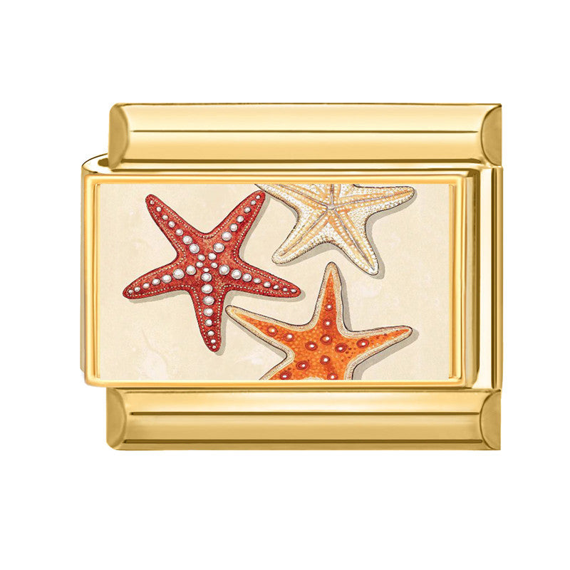 charm italien LA PLAGE ETOILE DE MER